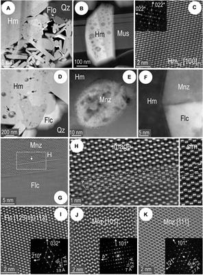 Micron- to atomic-scale investigation of rare earth elements in iron oxides